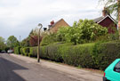 View: a00159 Camping Lane from Abbey Lane