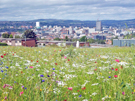 View: a00390 View from Park Grange Road looking towards Sheffield