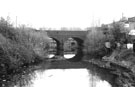 View: c00966 Sanderson's Mill Race and Sheffield Disrict Railway Bridge over the River Don from Stevenson Road Bridge, Attercliffe looking towards the railway bridge