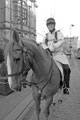 Mounted policeman in front of the Town Hall, Pinstone Street