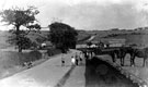 School Lane / Toad Hole Lane (now Southey Green Road) looking towards Toad Hole Cottages and Southey Green in the background