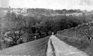 Fulwood from Whiteley Woods, taken from the field path overlooking Forge Dam.
