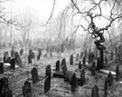 View: s01407 Sheffield General Cemetery, gravestones