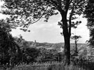 View from Sheffield General Cemetery, towards St George's Church and Jessops Hospital