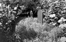 View: s01413 Sheffield General Cemetery, gravestones