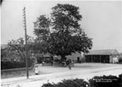 View: s02408 Big Tree Hotel, No.842 Chesterfield Road, Woodseats. Originally named the Masons Arms. Renamed the Big Tree due to the large oak tree at the front. Wesley is said to have preached here
