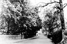 Fulwood Road