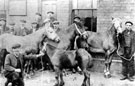 Pit ponies fron Nunnery Colliery on show at Darnall aid society