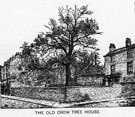 The Old Crow Tree House, junction of Devonshire Street and Broomhall Street