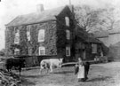 Ivy House Farm, Woodseats, 1903-1909. Louisa Barber in foreground Ivy House Farm, Woodseats, 1903-1909. Louisa Barber in foreground