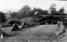 Ivy House Farm from The Dale, Woodseats, Barbers fields in background Ivy House Farm from The Dale, Woodseats, Barbers fields in background