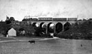 View: s07544 Train passing over the Five Arches, Herries Road