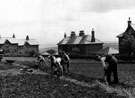 View: s07801 Working in fields at Fulwood Cottage Homes, Bolehill, Blackbrook Road, Fulwood. Opened 1905. Comprising of 21 cottages, superintendent office and lodge, committee room, stores and workshops. Built for 362 children