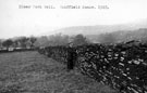 Wall at Blackbank, Arbourthorne. Part of the old deer park of Sheffield Manor House. Built into this wall are the remains of the keepers hut.  At the time of the deer park, three keepers were employed.