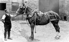 Farm hand and horse, Ivy House Farm, Woodseats
