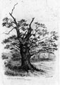 Montgomery Oaks, also known as Brincliffe Oaks, on land situated at junction of Oak Dale Road and Oak Hill Road, Nether Edge, opposite Brincliffe Oaks Hotel