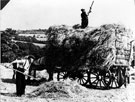 Haymaking at Totley