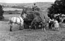 Haymaking at Totley