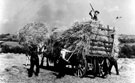 Haymaking at Totley