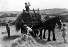 Haymaking at Totley