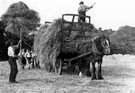 Haymaking at Totley