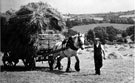 Haymaking at Totley
