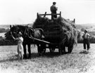 Haymaking at Totley