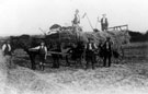 Haymaking at Myrtle Bank Farm, Handsworth