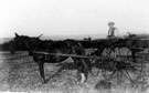 Horse rake used for haymaking, Myrtle Bank Farm, Handsworth
