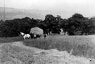 Haymaking at Bradfield