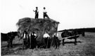 Haymaking at Southey Hall Farm, Parson Cross Haymaking at Southey Hall Farm, Parson Cross