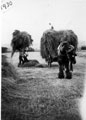 Haymaking at Southey Hall Farm, Southey Hill, Parson Cross