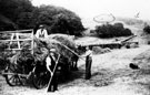 Haymaking at Peter Wood Farm, possibly Douse Croft Lane, Fulwood