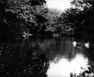 View: s10400 Endcliffe Park boating lake, previously the dam belonging to the Holme (Second Endcliffe) Grinding Wheel