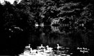 Duck pond, Firth Park