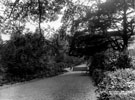 Meersbrook Park, path and steps