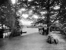 View: s11177 Endcliffe Park Boating Lake, previously the dam belonging to the Holme (Second Endcliffe) Grinding Wheel