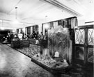 Millinery displays, Brightside and Carbrook Co-operative Society Ltd., City Stores, Exchange Street