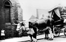 Cow drawn cart outside Primitive Methodist Chapel, Chapel Street, Woodhouse