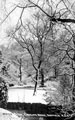 Winter scene, Endcliffe Park
