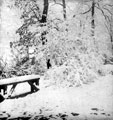 View: s11889 Winter scene, Endcliffe Park