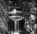 Waterfall, Endcliffe Woods