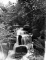 Waterfall, Endcliffe Woods
