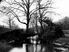 Footbridge, Endcliffe Woods