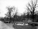 View: s11915 Stepping stones, Endcliffe Park