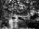 Bridge in Endcliffe Woods