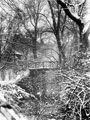View: s11940 Winter scene, Endcliffe Park