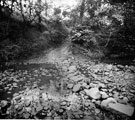 Beeley Wood, ford and stepping stones over the River Don