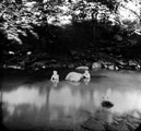 Beeley Wood, children bathing
