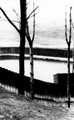 Bowden Housteads Wood, swimming pool built during coal miner's strike, 1926